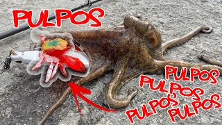 🐙¿Cómo pescar PULPOS🐙 Con PULPERA y EGI´s [upl. by Mamoun322]