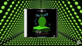 Track 4 Any Day Now נאנטע טעג יעצט  Koach Hayisraeli  Sruly Green  TYH Nation [upl. by Seraphim]