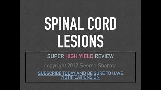 Spinal Cord Lesions Tabes Dorsalis SACD Syringomyelia Poliomyelitis BrownSequard Disease [upl. by Ertnom]