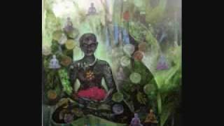 Terence McKenna  DMT amp Ayahuasca Experience [upl. by Aisiat]