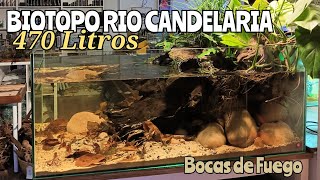 BIOTOPO RIO CANDELARIA  Boca de Fuego [upl. by Eatnohs823]