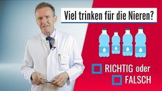 Richtig oder falsch – Nieren [upl. by Peursem]