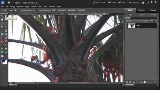 Learn how to remove Chromatic Aberration with Adobe Photoshop Elements 10 [upl. by Inilam]