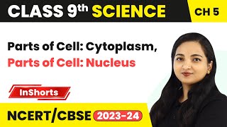 Parts of Cell Cytoplasm Parts of Cell Nucleus  Class 9 Biology Chapter 5 [upl. by Maura]