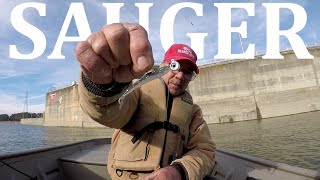 Sauger Fishing With Jigs [upl. by Natanoj471]