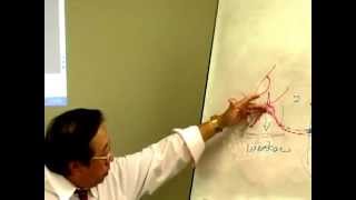 Common Cold Pulse Signs Right Cun  Online Acupuncture CEU [upl. by Naletak]