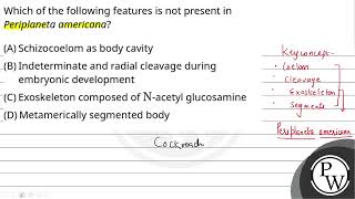 Which of the following features is not present in Periplaneta americana [upl. by Oicnoel]