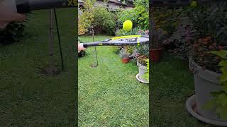 Every Tennis Ball Lover Loves This Sound asmr tennisball tennis [upl. by Hansel]