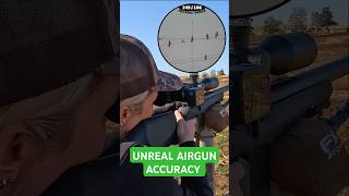 Unreal Airgun Accuracy  FX DRS Classic  Best PCP Airguns in the world  FX Airguns fxairguns [upl. by Wootan]