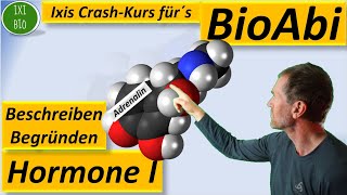 Hormone 1  Vergleich Peptidhormone und Steroidhormone  Übersicht über Funktionsweise von Hormonen [upl. by Aday]