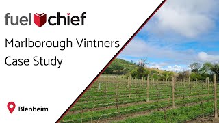 Marlborough Vintners Case Study [upl. by Eizle]