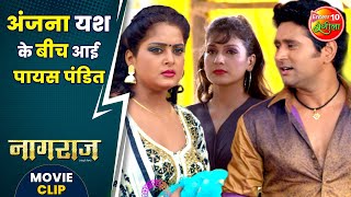 अंजना यश के बीच आई पायस पंडित  YashKumar AnjanaSingh  Naagraaj Movie Clip [upl. by Elrem]