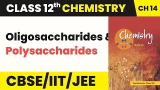 Class 12 Chemistry Chapter 14  Oligosaccharides and Polysaccharides  Biomolecules 202223 [upl. by Ahsieyn668]