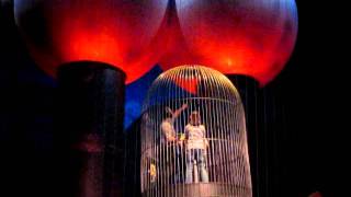 Van de Graaff generator Electricity show at Museum of Science including finale [upl. by Enivid]