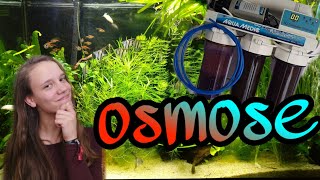 OSMOSE water in het AQUARIUM wat is osmose Nickey [upl. by Solraced]