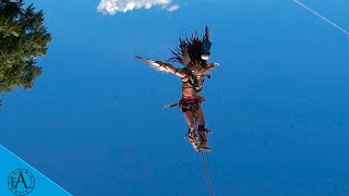 LA DANZA MÁS INCREIBLE DE MÉXICO quotDANZA DE LOS VOLADORESquot DANZA RITUAL MILENARIA [upl. by Naik707]