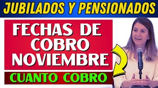 💲 CUANDO Y CUANTO COBRO EN NOVIEMBRE Jubilados y Pensionados  PNC de ANSES [upl. by Charo]