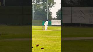 Bedworth cc vs Rugby cc Warwickshire Division 4 Cricket League highlights [upl. by Siloum]