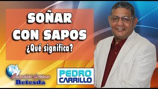 N° 095 quotSOÑAR CON ANIMALES TOROS VACAS PERROS RATAS CABALLOS GATOSquot Pastor Pedro Carrillo [upl. by Kapoor]