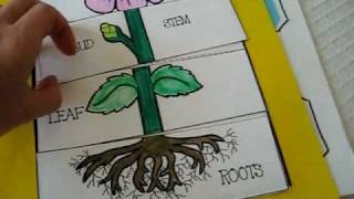 Grade 1  Science Parts of plant activities and games roots leaf bud stempetals and flowers [upl. by Imik]