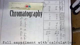 Chromatography । class 12 chemistry practical [upl. by Tenom]