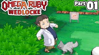 Pokémon Omega Ruby Wedlocke Part 01 Im Hungry [upl. by Ahsitahs]