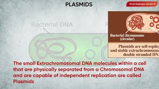 Micro30 Bacterial Cytology  Extrachromosomal DNA  The Plasmid  Kukreja Girish shorts [upl. by Harwell]