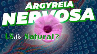 LS Natural Argyreia nervosa  Guia da Floresta [upl. by Pavlish]