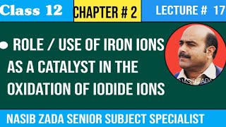 GCSE Science Revision  Catalysts [upl. by Yelehsa]