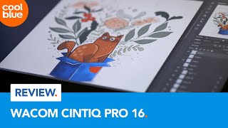 Wacom Cintiq Pro 16  Review [upl. by Vala629]