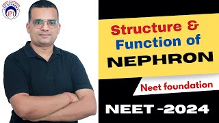 Nephron Function  Human Excretory system  Class 11th  JPT BIOLOGY ACADEMY  NEET  2024  CUET [upl. by Renrag]