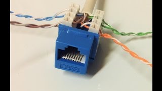 Connect Cat6 cable to Jack [upl. by Aivyls]