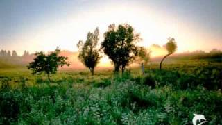 Dorothy Ashby  For Some We Loved [upl. by Akenor316]