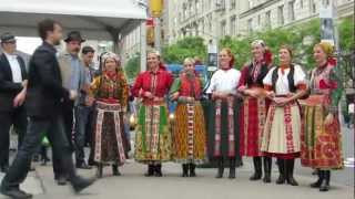 hungarian flash mob in nyc [upl. by Coulombe104]