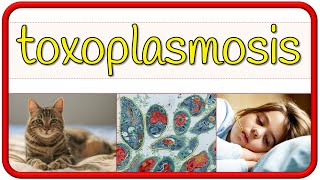 TOXOPLASMOSIS  fisiopatología signos y síntomas diagnóstico tratamiento y prevención [upl. by Crysta511]