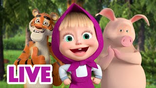 🔴 LIVE STREAM 🎬 Masha and the Bear 🤸‍♂️ Jump Skip and Hop together 🏃🙌 [upl. by Atiuqihs]