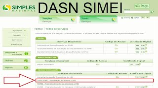 Declaração Anual do MEI 2017 DASN SIMEI 2017  Passo a passo de como fazer a declaração [upl. by Malory]