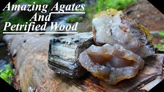 INSANELY Amazing Finds Discovering Agatized Wood Agates and CRYSTALS in the Mountains [upl. by Huskey]