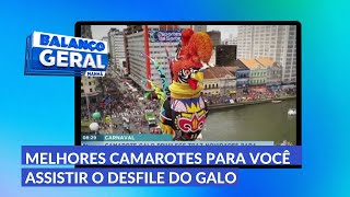 O Camarote Galo Privilege é um do melhores camarotes para você assistir o desfile [upl. by Refotsirhc]