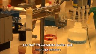 Size Exclusion Chromatography [upl. by Arivle]