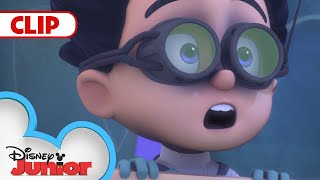 PJ Masks S5E7 Orticia Blooms Orticia and the Pumpkins [upl. by Esau3]