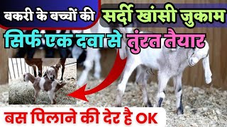 बकरी के बच्चे को सर्दी खांसी जुकाम हो जाए तो क्या करें 👉🏻 Bakri ke Bacche ki Sardi jukam ka ilaj [upl. by Stacy]