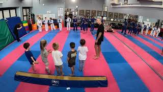 BJJ OR KARATE OR BOTH How do you choose whats right for your child [upl. by Nivar756]