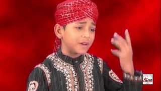 MERI JAAN ALI  MUHAMMAD FARHAN ALI QADRI  OFFICIAL HD VIDEO  HITECH ISLAMIC  BEAUTIFUL NAAT [upl. by Leonanie]