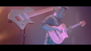 ANIMALS AS LEADERS  The Brain Dance Live Music Video [upl. by Aicsile]