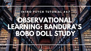 Observational Learning Banduras Bobo Doll Study Intro Psych Tutorial 67 [upl. by Nuncia130]