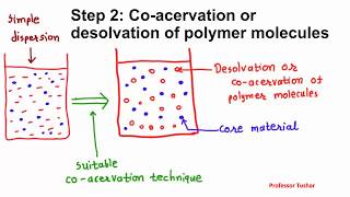 Microencapsulation by coacervation phase separation Microcapsule preparation [upl. by Brose227]