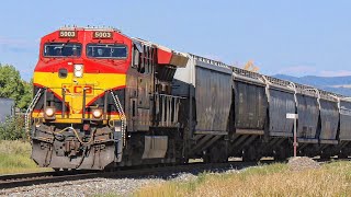 RARE KCS T4 lead KCS 5003 leading and UP SD70AHT4 both on CP Grain train at Cochrane AB [upl. by Anuhsal]