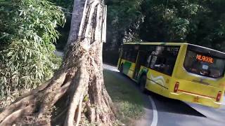 Sabarimala Ghat Road  Dangerous Ghat Roads in india  Safe Journey Using Kerala State RTC Buses [upl. by Attelrak]