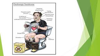 Organophosphate poisoning Symptoms Pathology Clinical features Ageing and Management [upl. by Ainuj]